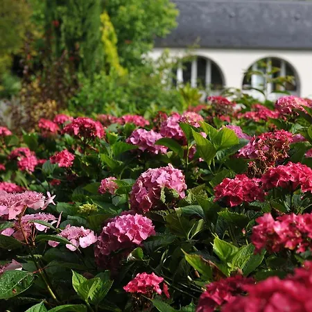 Chateau De Lamothe B&B *